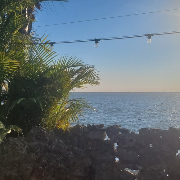 Meet your Posher, Paola - Picture 1 of 1